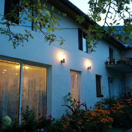 Pension Casa Anadam Băile Herculane Esterno foto