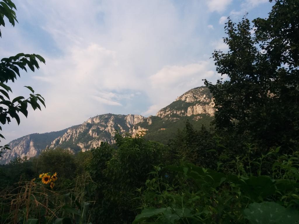 Pension Casa Anadam Băile Herculane Esterno foto