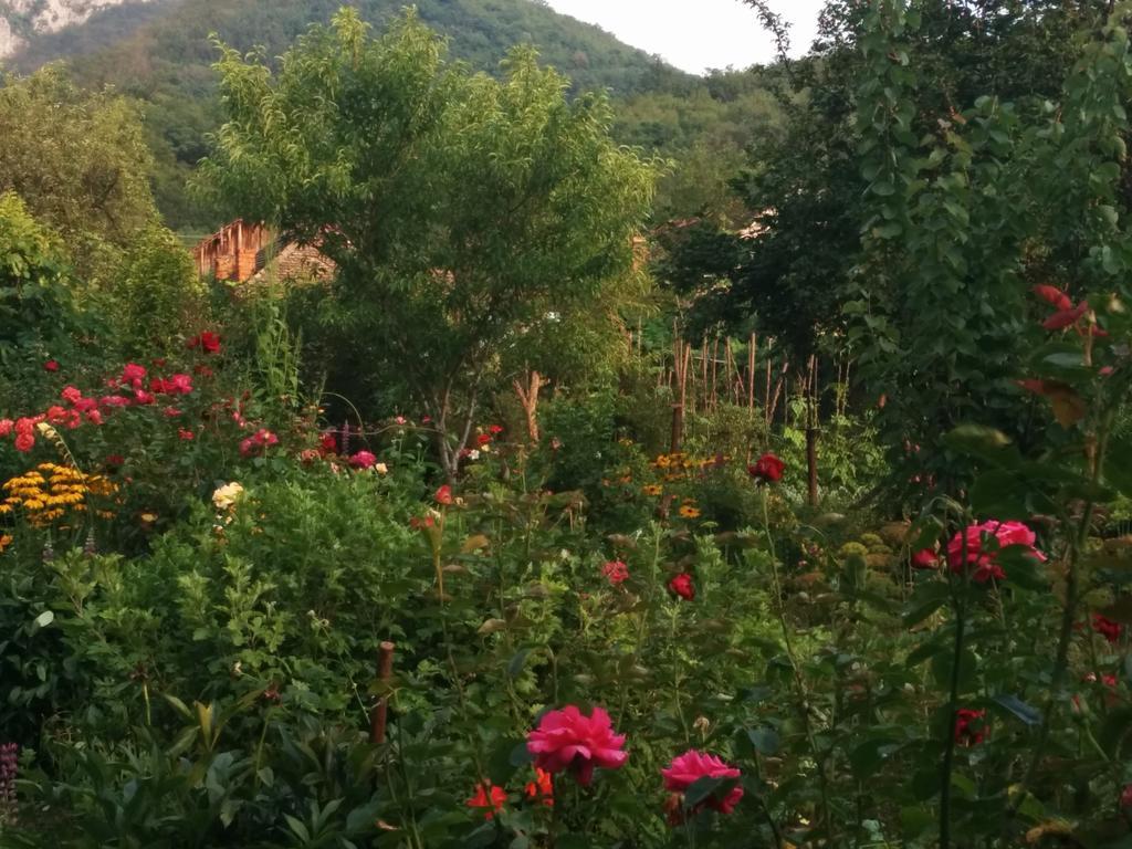 Pension Casa Anadam Băile Herculane Esterno foto