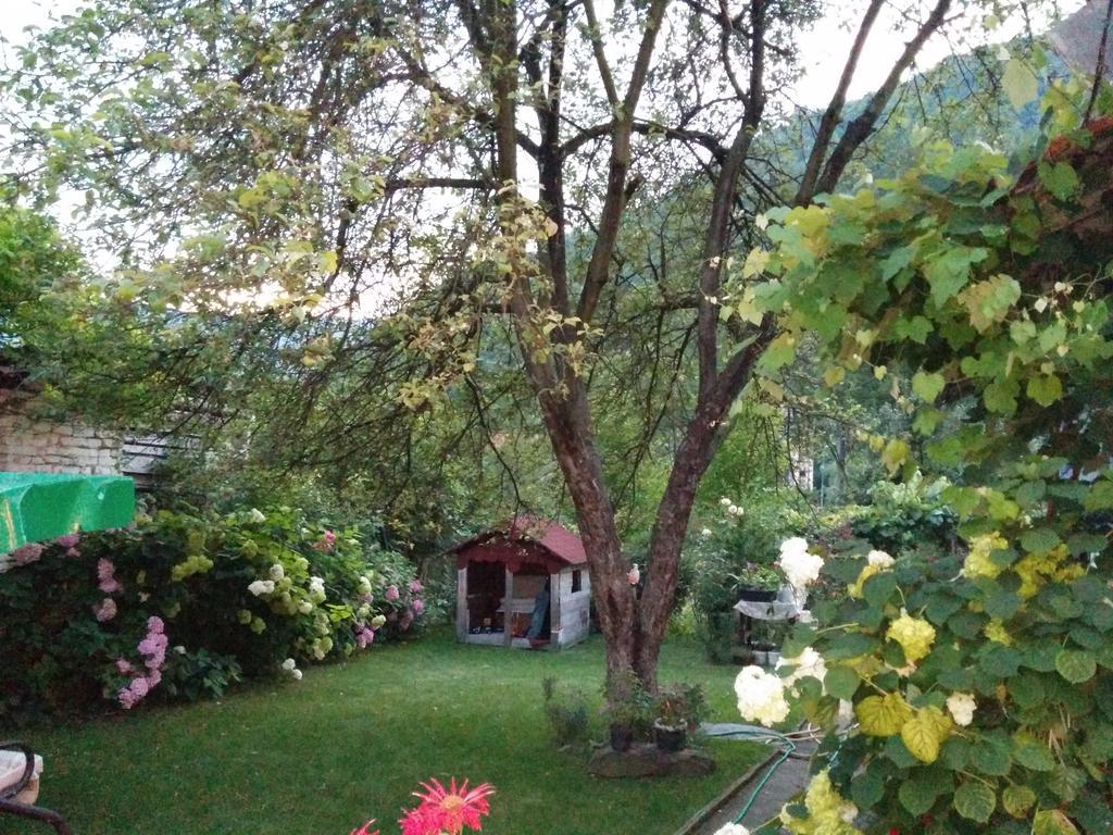 Pension Casa Anadam Băile Herculane Esterno foto