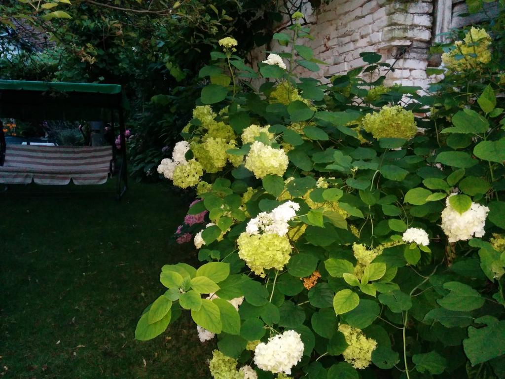 Pension Casa Anadam Băile Herculane Esterno foto