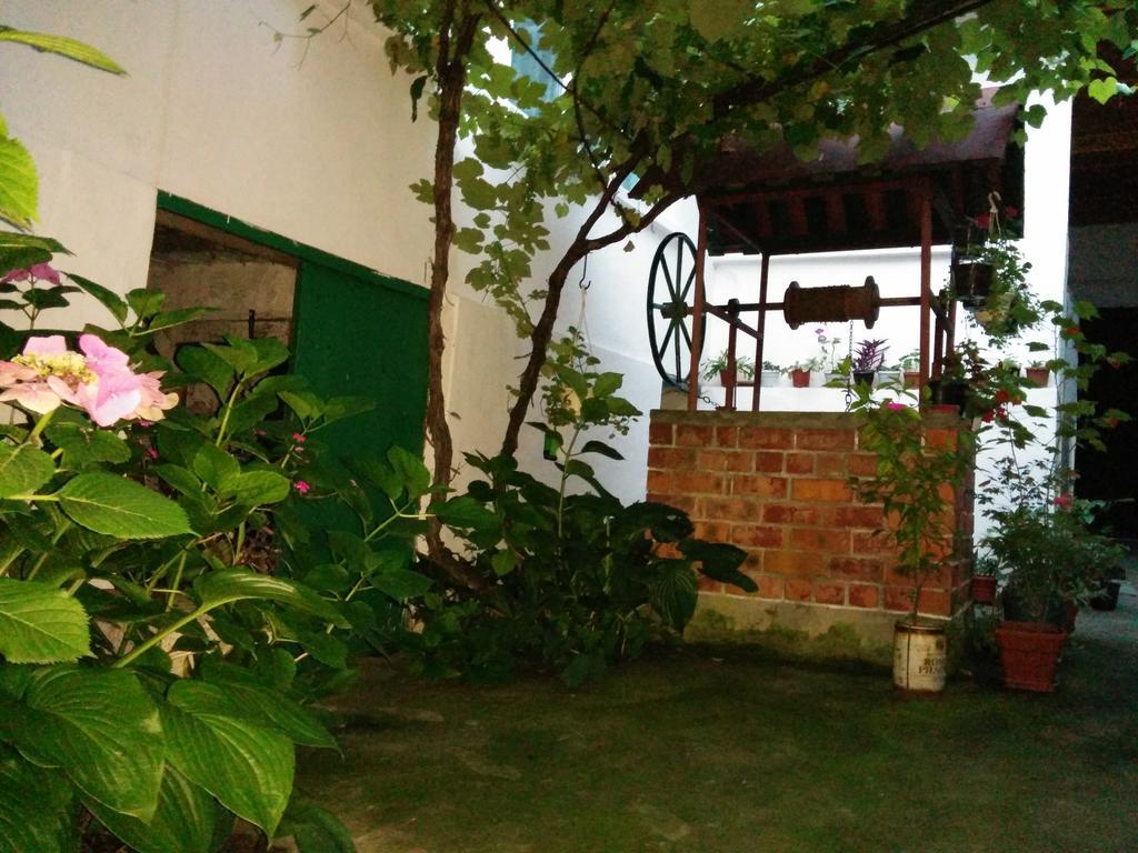 Pension Casa Anadam Băile Herculane Esterno foto